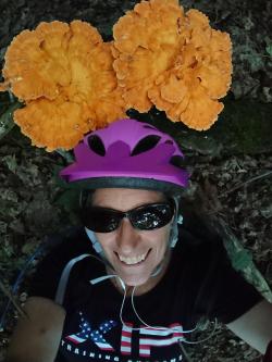 Fundraising Page Image